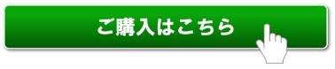 購入はこちら